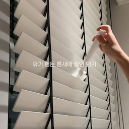🧹 #오늘청소완료
하루 마무리는 역시 청소로
눈에 잘 안 보이지만 쌓이면 바로 티 나는 먼지들 때문에
오늘은 쿼시 먼지털이로 집 한 바퀴 돌았어요.
가볍게 쓸어내리기만 해도
선반 위, 가구 틈, 손 잘 안 닿는 곳까지
먼지가 말끔하게 정리돼서 속까지 개운해지는 느낌이에요.
크게 힘 들이지 않아도
집이 한결 정돈돼 보이는 날.
오늘도 청소 완료 ✔️
#오늘의집 #청소기록 #집정리 #정리정돈
#먼지털이 #쿼시 #청소템 #살림템 #홈케어
#아파트인테리어 #준신축아파트 #35평아파트
#집기록 #일상공간 #클린홈 #콘수프필름 #인테리어 