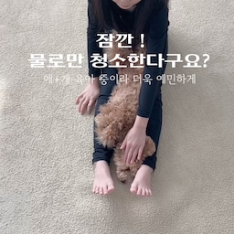 #현명한소비 #콘수프기록집 
아이랑 강아지가 하루 종일 바닥에서 뒹구는 집이라
로봇청소기는 매일 돌리지만,
세제는 괜히 찝찝해서 물만 사용했었어요.
그런데 물만 넣고 사용하면
걸레나 물탱크 내부에 세균이 번식할 수 있고
물때가 남을 수도 있다고 하더라고요.
그 말 듣고 나니…안되겠다 싶었어요
그래서 성분, 향, 잔여감 꼼꼼히 따져보고
로봇청소기 세제 사용하기 시작했어용
물만 쓸 때 올라오던 걸레 냄새…
이제는 안 올라와요.
좋은 세제로 관리하니까
청소할 때마다 마음이 훨씬 편해졌어요 🤍
#오늘의집 #오늘장면한컷 #화이트인테리어 #34평인테리어 #홈스타일링 #신혼선물추천 #맞팔 #소통 #거실인테리어 #홈스타일링 #집꾸미기 #시공없이집꾸미기 #심플인테리어 #맞팔 #선팔 #소통 #물걸레로봇청소기 #로보락 #로보락세제 #로봇청소기세제 #사소시각