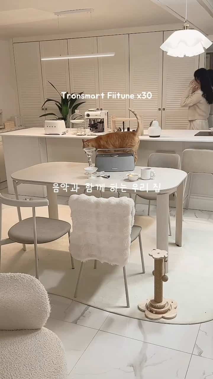 白を基調としたキッチンとダイニングスペース、猫とキャットタワーが配置されたモダンで暖かみのあるインテリア