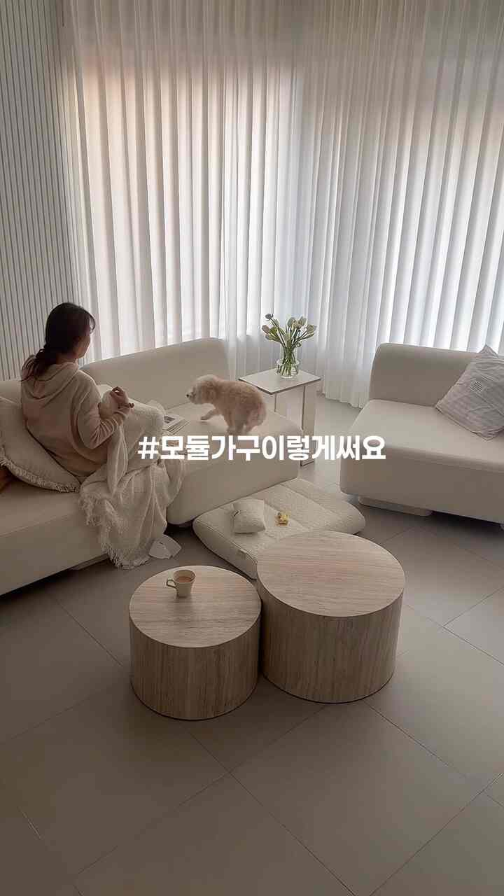 明るいホワイトトーンのリビング、モジュラー白いソファと丸い木製テーブルが配置され、犬と人がいるミニマルかつモダンなインテリア
