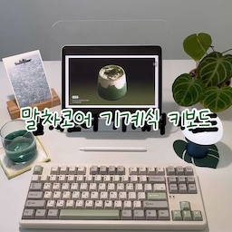 처음 써보는 기계식 키보드
펀키스의 x80 말차색상이에요
말차코어 데스크에 어울리는 색감이라 더 마음에 들어요
저소음 갈축이라 타건감은 살리면서도 조용해서
기계식 키보드 입문용으로 좋다고 해요
#데스크테리어 #데스크셋업
#홈오피스 #책상꾸미기 #미니멀데스크
#기계식키보드 #저소음갈축 #키보드입문
#말차코어 #그린인테리어 #말차
#책상위풍경 #오늘의데스크 #작업공간 #나만의공간
#콘수프기록집

