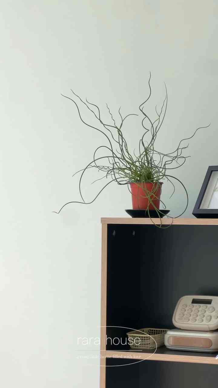 日差しが暖かく入る3月の週末ですね😊
光がチョン〰️入ってくると、家はさらに
居心地が良くて優しいです🤍
この味に春待ってみてください:)
（ところがいざ出るとゴール風が吹きすぎてまた家に逃げるという後期・・・🥲）




＃コンスープ記録集 