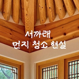 #대청소일등공신 #콘수프필름 
예쁘다고 난리 난 서까래 천장.. 현실 청소법 보여드림 🧹
로망 가득한 한옥 살이 다들 서까래 너무 예쁘다고 해주시지만 사실 저 높은 곳 먼지는 그동안 살짝 흐린 눈 하고 살았거든요 😇
의자 밟고 위태롭게 올라가서 실링팬 닦다가 얼굴로 먼지 샤워한 적.. 저만 있는 거 아니죠? 🤦‍♀️
그런데 이번에 제 묵은 체증을 싹 내려준 청소 치트키를 만났어요!
바로 프로4Z 초극세사 먼지떨이 세트 ✨
제가 직접 써보고 감탄한 3가지 쾌감 포인트 짚어드릴게요👇
1️⃣ 사다리 바이바이👋 (서까래 & 실링팬 청소): 핸들이 1.6미터까지 길~~게 늘어나서 바닥에 발 딱 붙이고 우아하게 슥슥 닦으면 끝! 초극세사라 먼지가 밑으로 안 떨어지고 패드에 착 달라붙어서 더 좋아요
2️⃣ 마의 구간 냉장고 밑 😱: 요즘 27개월 아이가 온 집안을 우다다 뛰어다녀서 구석구석 숨은 먼지가 장난 아닌데요 ㅠㅠ 청소기 절대 안 들어가는 냉장고 밑, 소파 밑 좁은 틈새도 헤드를 꺾어서 쑥 넣었다 빼면 숨은 먼지 뭉치들이 딸려 나옵니다 (먼지 주의.. 근데 진짜 속 시원함 최고치 찍어요👍)
3️⃣ 다 쓰고 빨아 쓰는 갓성비: 일회용이 아니라 쏙 빼서 물세탁 하면 되니까 환경에도 좋고 경제적이에요!
이제 먼지 날리면서 힘들게 청소하지 마세요! 🙅‍♀️
#한옥인테리어 #서까래청소 #실링팬청소 #틈새청소 #프로4Z #먼지떨이 #살림꿀팁 #살림템추천 #청소꿀팁 #집스타그램 #육아맘소통 #먼지청소 #대청소템 #먼지털이 #맞팔 #아이방꾸미기 #아이가있는집 #아기키우는집 #아기키우는집거실 