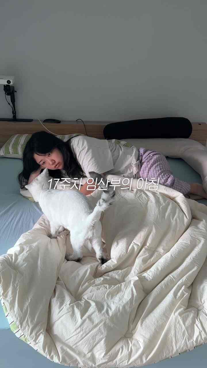 17週妊婦の朝

＃ルーチン＃モーニングルーチン＃ホームカフェ＃ルクルーゼ 
＃リビングインテリア＃リビングインテリア＃ベッドルームインテリア 