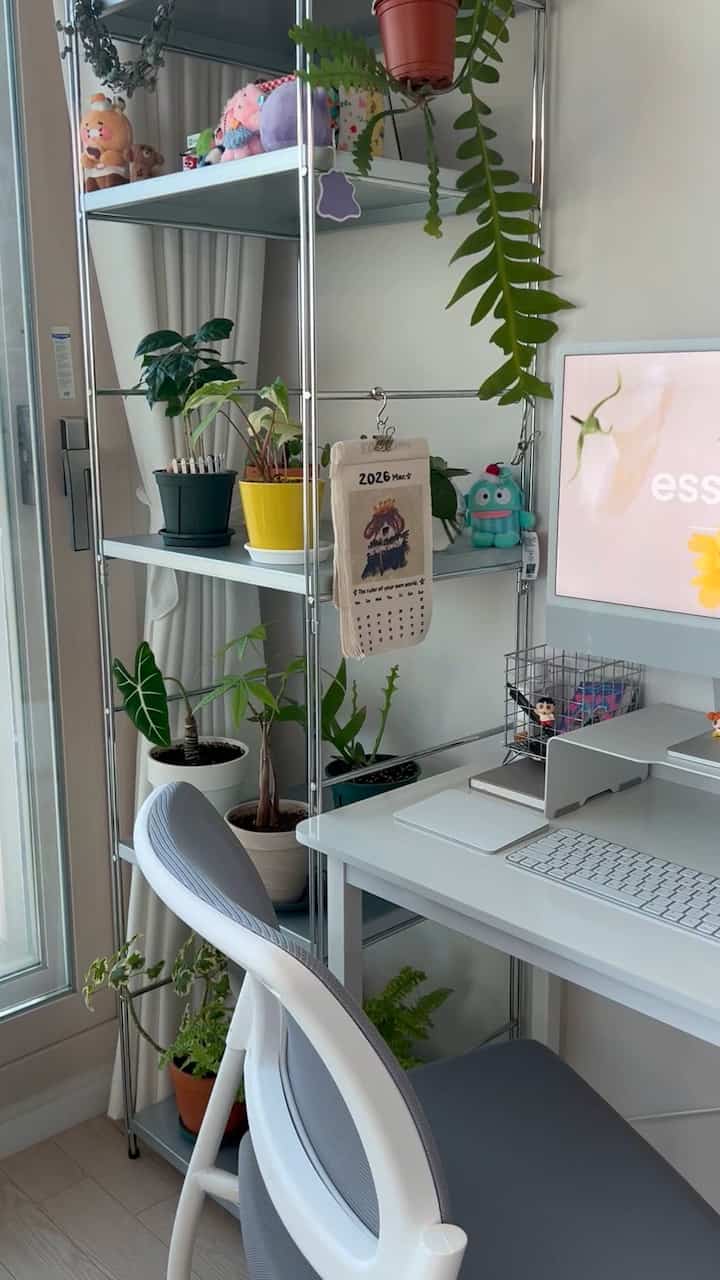  #식물인테리어  #나를잘보여주는공간 #힐링공간 
