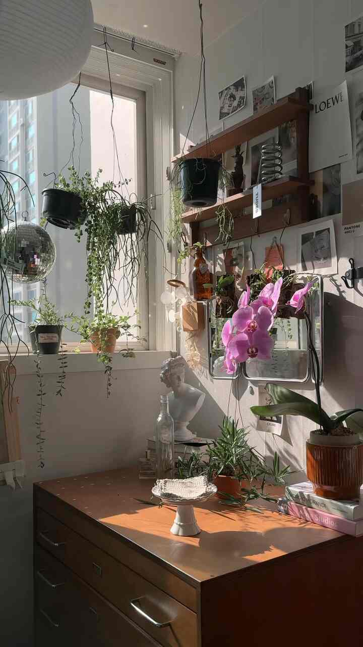 #인테리어노하우 #플랜테리어 #작은방인테리어 #콘수프기록집 

こんにちは。固有の意思 (@goyu_kyul) 固有です。

小さな部屋を飾るには、プランテリアが最も効果的な方法だと思います。
理由は簡単です。ほとんどの家具は床スペースを占めていますが、
植物は壁や天井にかけてスペースを使わずに雰囲気を変えることができるからです。

だから私の部屋には床に置く植物は一つだけ置き、
残りはすべて壁に掛かったり、天井に取り付けてスペースを空にした。

プランテリアが難しく感じたら
小さく始めず、むしろ果敢に歩いてみることをお勧めします。
空間がはるかに立体的に見え、
思ったよりはるかに感覚的な雰囲気が作られます。

#フランテリア
#小さめ
#ハングインプラント
#ウォールインテリア
#天井インテリア
#空間活用
#家