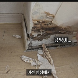 업체를 잘못만난 날림 확장 현장...
단열 없이 확장만 진행하면
결로 → 습기 → 곰팡이로 이어지는 최악의 상황이 만들어집니다.
특히 외벽 단열이 제대로 잡혀 있지 않으면
겨울엔 성에·물방울이 흐르고,
여름엔 악취와 곰팡이가 집 전체로 퍼지게 됩니다.
확장은 예쁘게 만드는 작업이 아니라
'집을 안전하게 지키는 공정'입니다.
단열·창호·배관·전기까지 검증된 절차로 진행해야만
곰팡이 문제 없이 오래 살 수 있습니다.
확장은 꼭 전문가와 상담하세요!
#확장인테리어 #확장주의사항 #날림시공주의 #곰팡이발생 #결로문제  
#단열시공 #외벽단열 #확장단열 #인테리어곰팡이 #곰팡이제거  
#인테리어필수체크 #주거인테리어 #리모델링주의사항  
#창호교체 #단열공사 #습기문제 #방습시공 #확장리모델링  
#인테리어업체추천 #온더디자인

