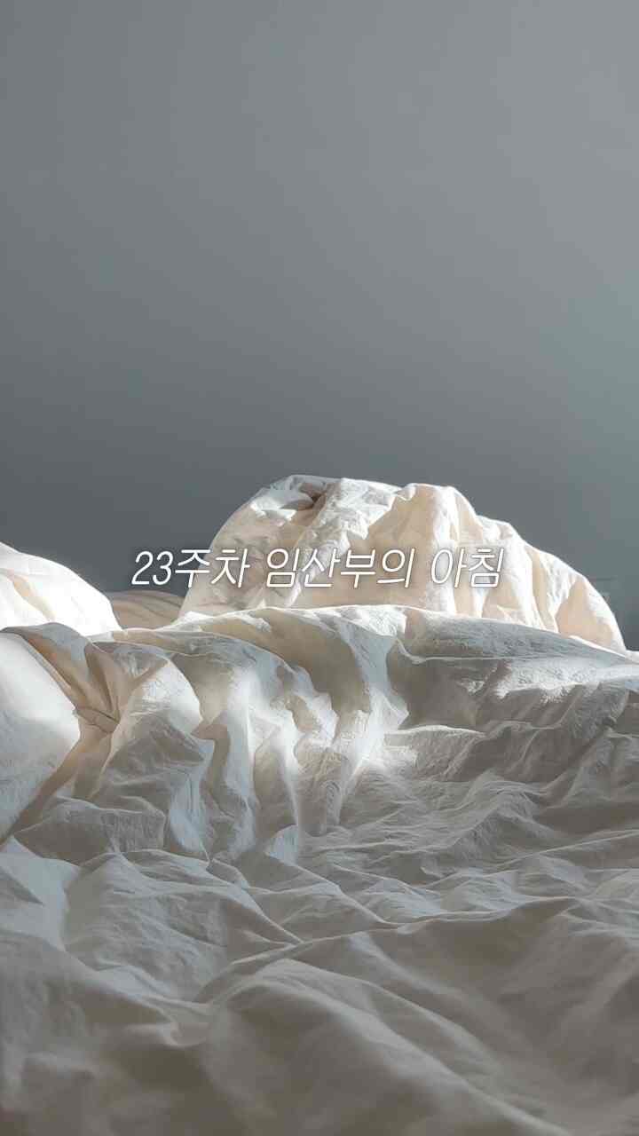 23週目妊婦の朝

＃モーニングルーチン＃モーニングブログ＃妊娠中のブログ＃ジプソンイ 