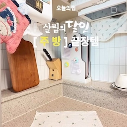 #콘수프기록집 #살림살이 #살리의달인 #주방템 #주방인테리어 #냉동밥용기 #글라스락 #주방템추천 #전자레인지용기 #반찬통 #맞팔
저녁 먹으려고 막 요리를 했는데 어머낫! 밥을 안했네?!?!
하는적 없으신가요 🤭ㅎㅎㅎ
전 너무 자주 그래서 😭
냉동밥을 줄 곳 얼려놓아요... ㅎㅎ
냉동밥 용기로 글라스락 완전 추천입니다 ㅎ
용량도 적당하고 적재하기도 사이즈 안성맞춤이고
색감도 예쁘답니다👍
