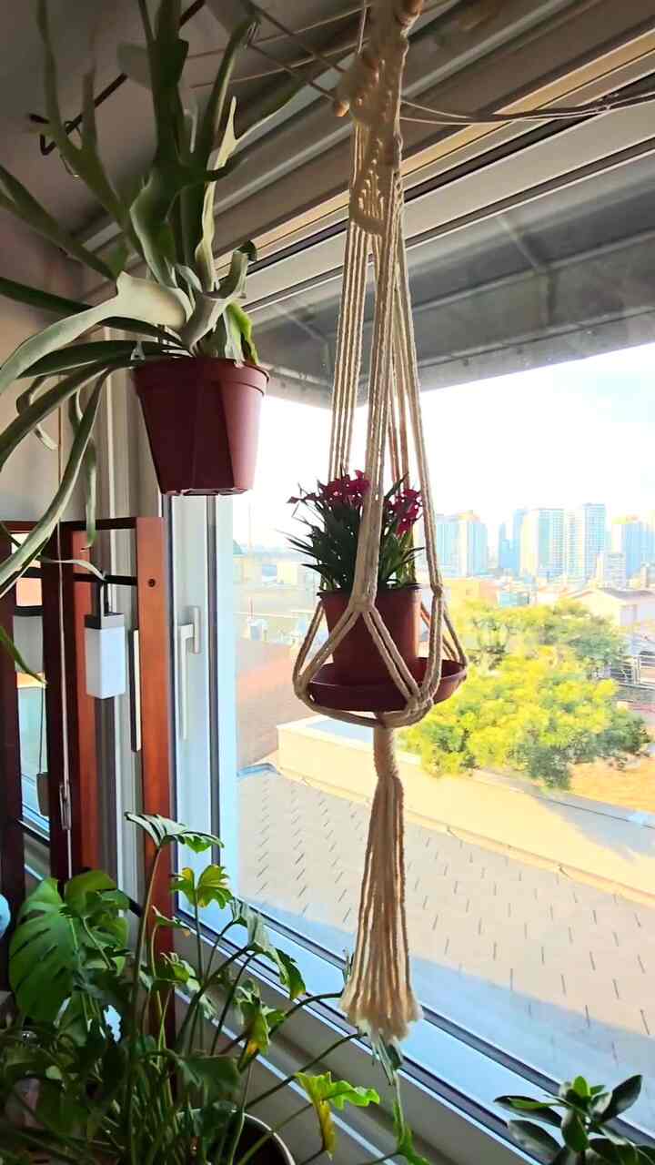 ＃コンスープ記録集＃今日の私たちの家 

楽しい週末⭐️ 

ミーマンのない蜂蜜のような空気
気分が良く、窓を開けました。
巨大な布団洗濯と清掃もしました。
（大家族の布団洗濯は夜まで-ing） 

隠れて最愛の空間記録⚘️☘️
。
。
。
。
＃マキシマリストのミニマルライフ＃FTC記録＃空間記録 
#homesweethome #複層 #二階建て #複層インテリア 
＃プランテリア＃植物インテリア＃植民地時代＃屋内庭園
＃家の装飾＃ホームスタイリング＃ホームデコ＃小物スタイリング＃ビンテージ小物