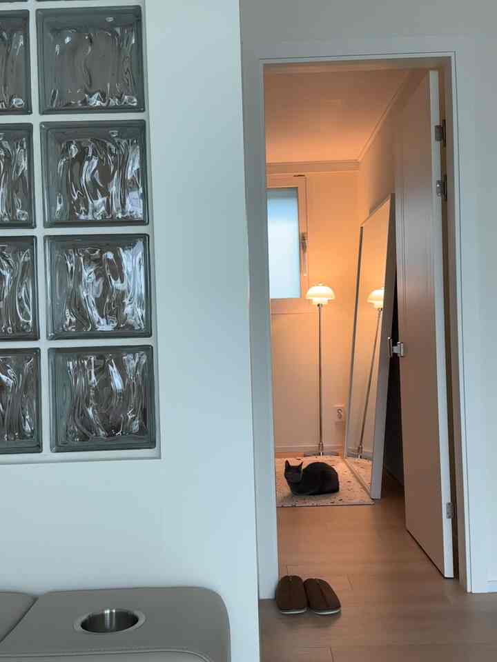 白とベージュの色調のウォークインクローゼット、大型の鏡とフロアランプ、パターンラグが配置された雰囲気のある空間