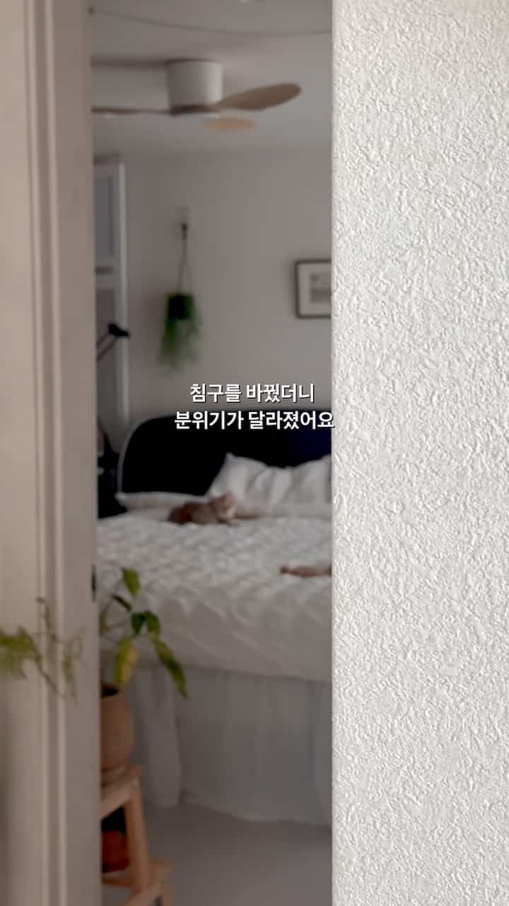 布団を1つ変更しただけです。
寝室の雰囲気が大きく変わりました..🤍

コーズコーズラッフル布団
可愛らしいスプーンを加えた空間です✨

モーダル素材
届く瞬間気分までモングルモングル..☁️

軽いけどふわふわ包み込んで
寝室に滞在する時間がもっと幸せになった最近です。🤍

両面で利用可能なので
その日の気分に合わせて雰囲気を変える楽しみまで🤭

居心地の良い寝室はどうですか。✨


＃今日の私たちの家＃ベッドルーム＃ベッド＃ベッド＃ベッドルームインテリア＃コーズコーズ＃コーズコーズモーダル布団＃布団お勧め＃ベッドフレーム＃スリッパ＃ブラックインテリア＃コラボレーション＃カーテン＃ラグ＃家の飾り＃シーリングファン＃部屋のインテリア＃ラジックベッド＃シモンズ＃ベッドマットレス＃オブジェ＃小道具 