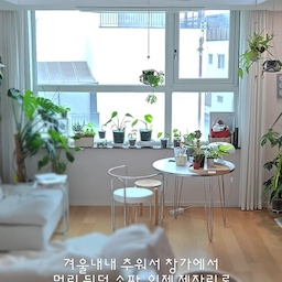 #인테리어노하우 3
.
햇살 100% 즐기는 거실 구조 변경
.
겨울내내 추위를 피해 
거실 안쪽으로 숨어있던 소파를
드디어 따스한 창가 제자리로 옮겨주었답니다.
​테이블을 두어 커피 한 잔 하는 창가도 좋지만,
가끔은 이렇게 소파에 깊숙이 기대어
식물들이 햇살 샤워하는 걸 지켜보는 게 
제겐 큰 힐링이에요. 🌱
​배치가 자유로운 모듈 소파 덕분에
계절의 변화를 집 안에서도 온전히 누리는 중입니다.
🌿​공간에 온기를 더하는 작은 팁!
​1. 햇살이 지나는 길 만들기: 
창가 쪽엔 최대한 낮고 간결한 가구를 배치해 보세요.
시야가 트여야 햇살이 집안 깊숙이 머물며 
공간을 넓게 만들어준답니다.
​2. 벽에서 살짝, 여백의 미:
소파를 벽이나 창문에 바짝 붙이지 말고 
10cm 정도만 띄워 배치해 보세요. 
가구와 벽 사이에 통로를 만들어주면 열기가 머물지 않고 공기가 원활하게 순환되어 훨씬 쾌적해져요.
​3. 유연한 모듈의 매력: 
고정된 배치가 지겨울 땐 
소파 하나만 떼어 사선으로 두어 보세요. 
한 끗 차이로 거실에 생동감이 생겨요.
​4. 초록의 레이어링: 
큰 식물은 빈 코너에, 작은 화분들은 
가구위나 큰 화분앞에 층층이 두면 
입체적인 ‘나만의 숲’이 완성됩니다.
.
.
.
#콘수프기록집
#주택라이프 #타운하우스 #집꾸미기 #인테리어 #화이트우드 #플랜테리어 
#멍집사 #식집사 #새집사 
#거실인테리어 #거실구조변경 #거실가구배치 #거실가구추천 #거실소파 #거실사이드테이블 #소파쿠션 #거실러그 #봄꽃 
#맞팔 #맞팔환영 #맞팔좋아요 