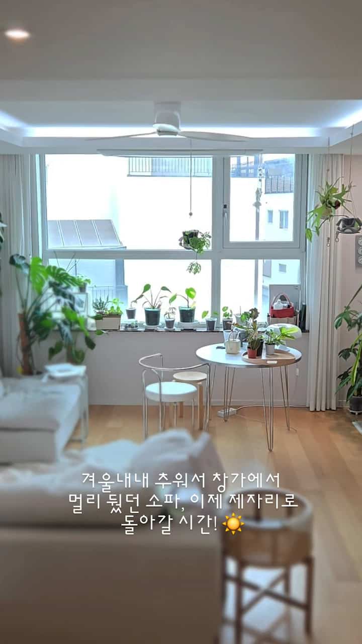 #インテリアノウハウ3
。
サンバースト100%を楽しむリビングルームの構造変更
。
冬を通して寒さを避ける 
リビングルームの奥に隠れていたソファ
ついに暖かい窓辺の場所に移しました。

テーブルを置いてコーヒーを一杯する窓際もいいけど、
時にはこのようにソファに深く寄りかかって
植物が日当たりの良いシャワーを見ているのは 
私は大きな癒しです。 🌱

配置が自由なモジュールソファのおかげで
季節の変化を家の中でも完全に味わう中です。

🌿空間にぬくもりを加える小さなヒント！

1.日差しの通り道を作る： 
窓辺にはできるだけ低くて簡潔な家具を配置してみてください。
視界があり、日差しが家の奥にとどまります。 
空間を広くしてくれます。

​2.壁から少し、余白の美しさ:
ソファを壁や窓にきつく付けないでください。 
10cm程度だけ浮かせて配置してみてください。 
家具と壁の間に通路を作ってくれれば、熱気がとどまらず空気がスムーズに循環し、はるかに快適になります。

​3.柔軟なモジュールの魅力： 
固定配置が疲れた場合 
1つのソファだけをはがして斜線で置いてみてください。 
きれいな違いでリビングに活気があります。

​4.緑のレイヤリング： 
大きな植物は空のコーナーに、小さな植木鉢は 
家具や大きな植木鉢の前に層が置かれたら 
立体的な「自分だけの森」が完成します。
。
。
。
#コンスープ
＃住宅ライフ＃タウンハウス＃家の装飾＃インテリア＃ホワイトウッド＃フランテリア 
＃あけましておめでとうございます 
＃リビングルームインテリア＃リビングルームの変更 
＃お会いしましょう。 