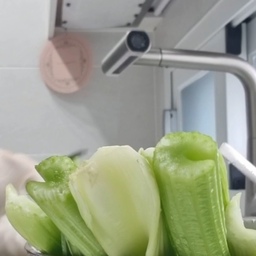 #콘수프기록집 #샐러리
뭐라 표현하기 어렵지만 정말 향긋한 채소
깨끗하게 손질해 샐러드로 먹고 장아찌도 담궈요.
#깜뽀르떼860 #에떼르노수전 
