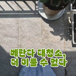 #콘수프기록집
#대청소
추워서 흐린눈 했던 베란다 청소 드디어 했어요🪴
#청소템 #청소용품 #청소정착템 #청소도구 #청소꿀팁 #청소하는날 #청소노하우 #청소루틴 #청소하는날 #청소팁 #베란다인테리어 #베란다꾸미기 #베란다정원 #오늘의가든친구 #오늘의가든 #초보식집사 #맞팔 #화분 #화분받침대 #커피나무 #베란다텃밭 #봄맞이대청소 #베란다타일 #대청소루틴 #물청소 #청소브러쉬 #청소솔세트 #브러쉬세트