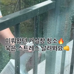 요즘 봄 날씨 너무 좋은데 
저희집 거실만 뿌연 필터 낀 느낌이었어요🫣
초록초록 바깥뷰 제대로 즐길 타이밍인데 
유리창 얼룩이 다 가리고 있어서 
은근 계속 답답했던 상황😫
휴무 맞자마자
미뤄둔 거실창 드디어 털었습니다‼️
필로티 2층의 숨겨진 기능 발동✨
남편 외부 투입 완료 (고생해요🤭)
유리세정제 팍팍 뿌리고
스퀴지로 쓱— 내리는데
와… 한 줄 한 줄 닦일 때마다
시야 열리는 그 쾌감 뭐죠👊
뿌연 거실에서
맑은 거실로 갈아타니까
집 분위기도 같이 환승했어요🌿💚
혹시 지금
흐린 눈으로 창문 외면 중이라면👀
요즘 좋은 도구 많으니까
하루만 시간 내서 밀어보세요🙋‍♀️
진짜… 속까지 맑아지는 느낌🧼✨
아침에 눈 뜨자마자 거실 나와서
맑은 뷰 보고 가만히 앉아있으면
그게 바로 힐링이에요💚
#오늘의집 #홈스타그램 #집스타그램 #집꾸미기 #거실인테리어 #창문청소 #거실창 #봄맞이대청소 #살림스타그램 #주부소통 #묵은때벗기기 #봄맞이 #초록뷰 #필로티2층 #아파트필로티 #스트레스해소 #거실청소 #신혼집인테리어 #아이있는집 #휴무 #일상 #살림일기 #살림팁 #청소 #유리세정제 #스퀴지 #스퀴지추천 #거실창 #거실창청소 #유리창청소 