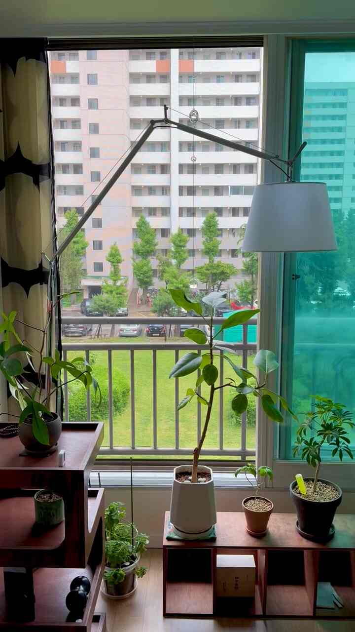 雨の週末午前。リビングルームから見た窓辺の風景です。 
窓の外で美しく広がる芝生を眺めるのが落ち着きます :) #쭈리링 #인테리어 #거실 #거실인테리어 #창가 #잔디밭 #식물 #식물인테리어