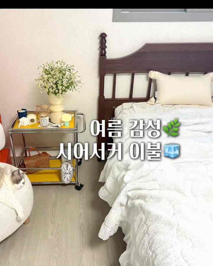 #여름침구바꿨어요 #시어서커이불 

十数体質だから夏寝具選びに本気な方！ 
今回は通気性の良い素材に選びました。 
肌に触れる感じがとても快適です。 

ペットを育てる家です。  #이씨라메종 #원목침대 #시몬스침대  #양모패드 #침실인테리어  
