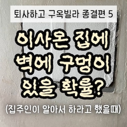 퇴사하고 구옥빌라 종결5편(2년전) 📜✨
이제 이 구옥집 1주일 전에 떠나왔는데요
이 긴 시간동안 제가 해온것들을 마무리 해보려고 해요
이사온 집 첫날부터 되지도 않는 20년전 인터폰이 벽에서 바로 추락
벽에 큰 구멍이 생겼는데요 🔌
기존 집주인이 알아서 막고 살라고 스치로폴만
덜렁 가져다줬었죠 🙄📦
이 벽 막아서 어떻게 되었냐면요
영상마지막에 나와요 👀🎬
문지방이 박스테이프에 썩어있어서 파내고
새로 #몰딩 #시트지
#곰팡이 제거하고 #벽지 새로 하고 🧼
몰딩 커팅까지 시공하고
#콘센트커버 페인팅까지 장장 9개월을 수리하는데 걸렸던 구옥집 🔨
이제는 그 집이 아닌 새로운 집에서
새로운 공간을 시작하게 되었지만 🏠
마무리 애프터 올려봐요 📸
🚀 구옥빌라 수리하기 종결편은 총 8편이 마지막입니다
인테리어디자인과 전공자의 👷‍♀👷‍♂ 
어필하고 싶은 예쁜집 🏡 어필미홈
예쁜집에 살기 인생 프로젝트🔥
#셀프인테리어 #셀프홈스타일링 #셀프시공 #셀프도배 #셀프인테리어달인 #셀프리폼 #셀프diy #구옥인테리어 #구옥리모델링 #구옥 #구옥빌라 #벽지도배 #몰딩시트지 #몰딩 #몰딩페인트 #전세 #전세집인테리어 #전세인테리어총집합 #전셋집인테리어 