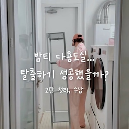 #콘수프기록집 #다용도실인테리어 #인테리어노하우 
밤티 다용도실 탈출하기 성공했을까? 2탄 
사용한 제품들 정리해봤어요 :)
1. 노루페인트 노루와 매직오프 필러블 페인트
- 색상 WT 1008 morning air 
저는 도구세트 구매했습니다☺️
☑️ 프라이머 2회(5시간 간격)
☑️ 페인트 3회(3시간 간격) 칠했어요!
2. 프로메이드 틈없는 데크타일 샌디 
색상은 아이보리 색상이구요 , 백자갈 추가구매했어요
3. 이케아 니사포르스 이동식 트롤리
(주방세제들과 세탁세제등 보관)
세탁기 옆 빈공간에 딱🤍 바퀴가 있어 이동이 편해요
4. 이케아 휠리스 3단
저희집 다용도실이 긴 구조로 되어있어서
세탁기 문 방해가 안되도록 슬림한 선반을 찾았어요.
5. 다이소
확장형 주방선반 (품번 1047873), 
도이수납함 (품번 1039098 (소형), 1039099 (중형))
전면 오픈형 스틸 와이어 바구니 (품번 1059438)
다이소 제품들로 에어프라이어와 냄비들,
그리고 햇반이나 참치 스팸 등은 뚜껑이 있는 보관함에  정리했어요.
어때요? 밤티 탈출한거 같나요?
#노루페인트 #다용도실꾸미기 #세탁실인테리어 
#떼어지는페인트 #페인트추천 #다용도실
#세탁실수납 #세탁실정리 #베란다인테리어
#베란다꾸미기 #베란다활용법 #다용도실정리 
#다용도실수납 #다용도실인테리어 #다용도실선반 
#다용도실문 #다용도실타일 #다용도실데크타일
#다용도실수납장 #데크타일 #세탁실수납 #세탁실선반 
#세탁바구니 #빨래바구니 #빨래건조대 #미니건조대