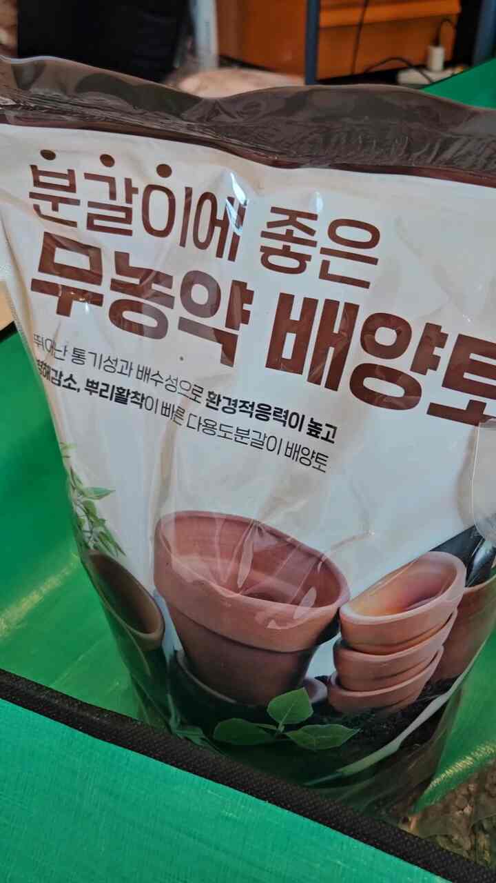 #콘수프기록집 #분갈이

大きな植木鉢に移り、分裂がありましたㅎ
小さな植木鉢でやる 
大きかったときにもう一度やらなければなりません。
もう少し大きな鉢植えにしました。
葉も広がってきれいですねㅎㅎ

#メイド 
#おはよう 
#メイド
#ブンガル
#ブンガル
#ブンガル 
＃今日のワンシーン
#今日のカット
