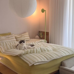 IKEA PS 2026 언박싱📦✨
현재 라임라임한 우리집 침실에 찰떡이라 안데려올 수 없었던..레몬과 라임 그 사이 어딘가의 컬러감✧˚ ༘ ⋆｡˚
#26주차임산부 #혼자서도잘해요✌️
#예쁜템최고야 #콘수프기록집 #조명 #스탠드조명 
#조명인테리어 #한지조명 #이케아조명 #이케아ps2026
#침실 #침실인테리어 #침실꾸미기 #신혼침실 #베딩 #여름침구 #스트라이프베딩