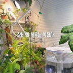 #집에서식물키우기
저는 유료햇빛 #식물등 으로 장비빨 세워요!

종류도 다양하게
그와중에 #식물인테리어 포기 못해>_<
애정하는 #식물존 어때요?

#식물성장등 #식물성장조명 #식물조명
#LED식물등 #오늘의가든
#조명탐구생활

