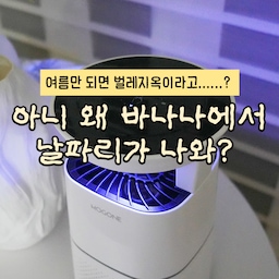 광고 🚨 신축 이사 왔는데 벌레가 따라왔어요...
요새 시장에서 바나나 한 송이 사왔는데
그 이후 집에 없던 날벌레들이 생기기 시작😱
게다가 이사 오자마자 왕바퀴까지 만나고
진짜 멘붕 제대로 왔잖아요
근데 또 포충기라고
인테리어 망치는 디자인은 싫고요
그래서 들인 게 바로 모그원 🤍
✨ #무선포충기
✨ 최대 12시간 사용 가능
✨ UV LED 유인
✨ 팬 흡입 방식
✨ 약품 없이 사용 가능
✨ 타이머 기능
✨ 취침모드 밝기 조절 가능
특히 무선이라 너무 편했어요 👏
캠핑 갈 때도
여행 갈 때도
콘센트 찾을 필요 없이 사용 가능!
무엇보다 마음에 들었던 건 디자인 🤍
딱 봐도 포충기 느낌이 아니라
예쁜 생활가전 느낌이라
거실에 놔도 부담 없더라고요
남편은 소리에 예민하고
저는 빛에 예민한 편인데
팬 소음도 부담 없고
밝기 조절도 가능해서
취침할 때도 괜찮았어요 😴
올여름 벌레 때문에 스트레스 받기 싫다면
포충기 하나쯤은 미리 준비해두는 것도 추천! 🦟
🦸‍♀️ #모그원 UV LED #포충기 MBUG X1
.
.
인테리어디자인과 전공자의 👷‍♀👷‍♂ 
어필하고 싶은 예쁜집 🏡 어필미홈
#오늘의집 #오늘의우리집 #콘수프기록집 #콘수프기록 #모기퇴치 #모기퇴치기 #모기 #모기기피제 #벌레퇴치 #벌레차단 #벌레퇴치기 