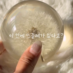 #오브제언박싱
요즘 문진에 푹 빠져서 이것저것 오브제를 
찾아보고 있었는데, 보자마자 너무 예뻐서 
고민도 안 하고 바로 질렀어요><🤍
사실 주변에서는 다들 “그걸 왜 사?” 했는데, 
막상 받아보니 정말 이뻐용 ㅠㅠ
특히 햇빛이 들어올 때 영롱보스  ͙ᐟ ✨
실물이 너무 예쁜 오브제🤍🌼
#화이트인테리어 #오브제 #오브제소품 #오브제추천 #민들레 #문진 #문진오브제 #민들레문진 #민들레오브제 #예쁜템 #예쁜소품 #인테리어오브제 #인테리어소품추천 #소품인테리어 #맞팔 #맞팔환영 