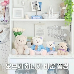 🧸오브제 하나가 바꾼 풍경 #오브제언박싱
조금 허전했던 침대 옆 공간에
곰 가족이 이사 왔어요.
아빠곰, 엄마곰, 왕자곰, 공주곰.
처음엔 단순히 예쁜 오브제라고 생각했는데
하나둘 자리를 잡고 나니
어느새 이야기가 생기더라고요.
신문을 읽는 아빠곰,
꽃을 좋아하는 엄마곰,
피아노를 치는 왕자곰,
거울을 보며 자신에게 반한 공주곰까지ㅎ
지갑은 조금 가벼워졌지만,
우리 집은 조금 더 따뜻해졌어요.
좋아하는 것들로 채워진 공간은
생각보다 큰 행복을 주는 것 같아요🤍
.
#달콤다린 #테디테일즈 #레나베어 #오브제 #인테리어소품 #프리미엄오브제  #집꾸미기 #홈데코 #홈스타일링 #침실인테리어 #협탁꾸미기 #감성인테리어 #화이트인테리어 #선반인테리어 #소품인테리어 #인형인테리어 #곰인형 #파스텔인테리어 #감성소품 #옷장정리