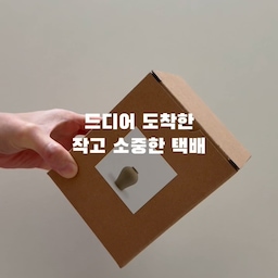 #오브제언박싱 
요즘 집에 들어오면 가장 먼저 느껴지는 향
은은한 샌달우드 향이 공간을 차분하게 만들어줘서 
괜히 마음까지 편안해지는 기분
작은 오브제 하나로 분위기까지 꽤 달라지네요🤍✨
#오브제 #오브제소품 #디퓨저 #디퓨저추천 #달항아리오브제 #달항아리디퓨저 #홈데코 #홈데코소품 #거실꾸미기 #거실오브제 #맞팔 #맞팔환영 #작은집인테리어 #모던인테리어 #홈스타일링 #콘수프기록집 #예쁜템최고야 
