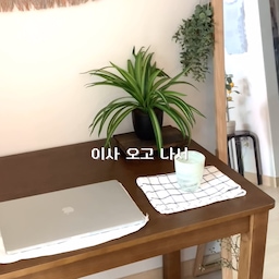 🤎최애 가구 소개하기🤎
디자인도 기능도 넘나 훌륭하게 해내고 있는
울집 최애 가구 원목 책상 !
공간 자체를 차분하게 만들어주고
플랜테리어와도 찰떡이어서
공간을 바라만 봐도 만족스럽고요..✨
식탁으로도 작업책상으로도
다기능으로 사용 가넝 !
#달빛홈 #FTC24기 #오늘의집 #최애가구 #원룸 #원룸인테리어 #원룸꾸미기 #원목인테리어 #원목테이블 #원목가구 #원목식탁 #원목의자 #집꾸미기 #자취방 #자취방인테리어 #자취러 #자취생 #1인가구