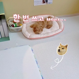 🐶 배변패드, 한 달에 몇 장이나 쓰시나요?
저도 매번 버리는 게 당연하다고 생각했는데,
생각보다 비용도 부담되고 쓰레기도 꽤 많이 나오더라고요
그래서 사용해본 오놀라 워싱패드!
오염되면 세탁해서 다시 사용할 수 있어서
환경도 생각하고 생활비도 아낄 수 있는 똑똑한 아이템✨
흡수력도 만족스럽고,
세탁 후에도 깔끔하게 사용할 수 있어서
요즘은 일회용보다 손이 더 자주 가네요🤎
작은 선택 하나가 모이면
환경에도 도움이 되고 지갑도 지킬 수 있다는 사실🌿
#콘수프기록집 #같이사는집 #반려동물과함께사는집 
#오놀라워싱패드 #워싱패드추천 #강아지배변패드 #반려견용품 #친환경생활 #펫테리어 #댕댕이집사 #반려생활 #절약템 #살림꿀템 #환경을생각하는소비 #펫용품추천 