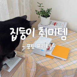 #현명한소비 #콘수프기록집 
내새꾸 덕질템 - 코닥 포토프린터📸
내새꾸 사진 이쁘게 찍어서 한장 한장 출력하고
마카펜으로 기록하면 내새꾸 덕질 다이어리 완성!
폰으로 보는것보다 한장씩 넘겨가며
사진 구경하는것도 재미나더라구요 ㅋㅋㅋ
사진 출력하는 과정에서
가장 이쁘고 귀여운 사진들을 선별하다보니
사진첩에 남는 사진들은 더 특별하답니다
여러분의 취미는 무엇인가요?
#맞팔 #소통 #취미 #취미템 #포토프린터
#코닥 #코닥프린터 #포토프린터 #프린터
#사진프린터 #사진출력 #사진꾸미기
#반려동물 #고양이 #고양이와함께사는집
#고양이가있는집 #집사일상 #고양이일상
#내새꾸덕질 #취미추천 #화이트우드
#화이트옐로우 #노랑 #베란다 #식탁보
#테이블보 #테이블매트 #체크식탁보