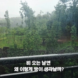 본 콘텐츠는 경동나비엔의 지원을 받아 제작된 서포터즈 활동 콘텐츠입니다.
베이킹 0회차의 첫 소금빵 도전🥐
비 오는 날 갓 구운 소금빵이 너무 먹고 싶어서 처음으로 홈베이킹에 도전해봤어요☔
나비엔 매직 멀티 광파 오븐의 자동요리 기능과 발효 기능을 활용하니 생각보다 훨씬 쉽게 완성✨
오늘의 홈카페 성공☕🤎
#나비엔에어크루 #나비엔매직 #광파오븐 #나비엔매직멀티광파오븐 #홈베이킹 #홈카페 #소금빵 #주방가전  #집꾸미기 #주방인테리어 #오늘의집 #집스타그램 #홈카페인테리어