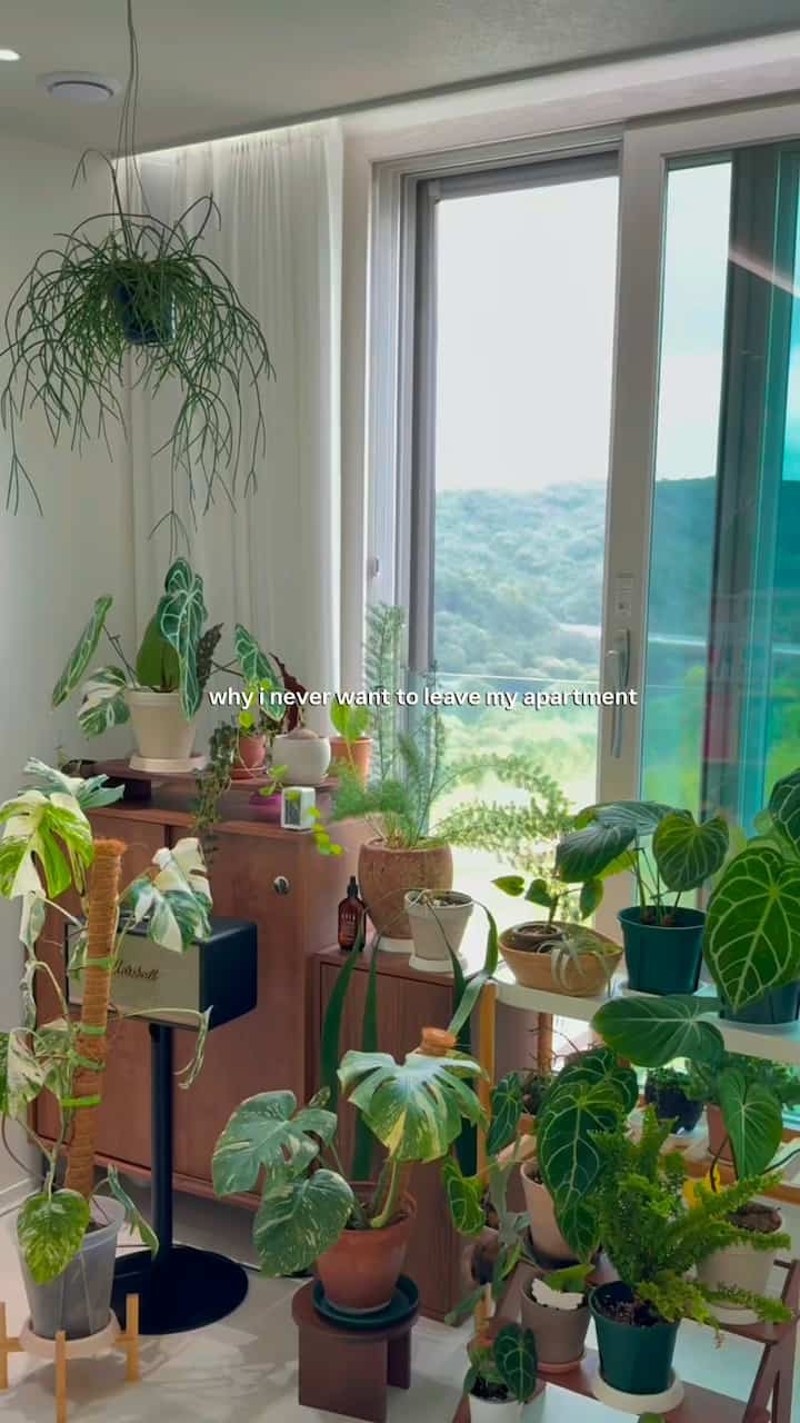 最近私の日常で平和を担うものです:-)
自宅で一杯のコーヒーを飲みながら植物の世話をする時間、窓の外の夕日を眺める瞬間瞬間.. 

あなたの「癒しのスポット」はどこですか？コメントで共有してください！ 🌿☕️

#私の空間 #日常の温度 #ホームガードニング #ftc25期 #今日の私たちの家 #daily #vlog 