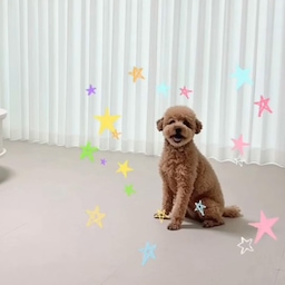 부모님 새집 거실, 7살 강아지 봉구를 위한 내돈내산 홈스타일링 🤍
부모님께서 최근에 새로운 집으로 이사를 하셨어요! 🏡
다른 곳은 몰라도 매일 긴 시간을 보내실 거실만큼은 제 손으로 직접 꾸며드리고 싶어서, 고민 끝에 하나하나 '내돈내산'으로 채워드렸답니다. 🥰
그중에서도 가장 신경 쓰고, 깔끔하게 완성되어 만족도 200%인 비결은 바로 거실 전체에 깐 '타일카페트' 예요!
우리 집의 소중한 7살 애교쟁이 강아지, 봉구🐾가 나이가 들면서 슬개골 탈구가 걱정되더라고요. 그래서 미끄럼 방지를 위해 거실 전체에 깔아주었는데 정말 대만족이에요!
✨ 직접 깔아보고 느낀 장점
1. 완벽한 미끄럼 방지: 봉구가 우다다 뛰어놀아도 전혀 미끄러지지 않고 안전해요. 부모님도 깔끔하고 밝아진 거실 바닥 덕분에 한결 안정감을 느끼세요. 🥰
2. 최고의 가심비: 사실 반려견 전용 매트나 용품들이 생각보다 가격대가 높은데, 이 타일카페트는 합리적인 가격에 퀄리티까지 챙겨서 아주 뿌듯해요!
3. 인테리어 효과 극대화: 기능 때문에 깔았는데, 거실이 훨씬 밝고 넓어 보이는 효과가 있어서 홈스타일링용으로도 아주 딱이에요.
부모님께는 밝고 깔끔하고 편안한 쉼터가 되고, 우리 봉구는 슬개골 걱정 없이 마음껏 뛰어놀며 더 행복하게 지냈으면 좋겠습니다. 부모님 효도 인테리어 겸 강아지를 위한 거실 꾸미기 대성공이에요! 🤍
#거실스타일링 #타일카페트 #강아지매트 #오늘의집 #집꾸미기 #거실인테리어 #홈스타일링 #미끄럼방지매트 #슬개골탈구방지 #슬개골보호 #부모님선물 #효도인테리어 #내돈내산 #반려견과사는집 #반려견인테리어 #반려견과함께사는집 #화이트인테리어 #미니멀인테리어 #쇼파테이블 #소파테이블 #livingroom #livingroomdecor #lifestyle 