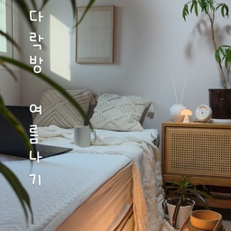 #현명한소비 1
.
다락방 여름나기🌿
여름이면 가장 먼저 더워지는 저희집 다락방이에요.
그래도 가장 좋아하는 공간이라, 
올여름은 노르딕슬립 콜드스토프 쿨매트와 함께하고 있어요.
살결이 닿자마자 번지는 청량함, 
그리고 슈슈도 편히 쉬어가는 부드러운 촉감이 마음에 들었어요.
촘촘한 콜드스토프 냉감 원단으로 시원함이 오래 유지되고, 
50회 세탁 후에도 유지되는 내구성까지 갖춰 
여름 내내 부담 없이 사용할 수 있겠더라고요.
깔끔한 디자인 덕분에 
제가 가장 좋아하는 다락방 공간과도 자연스럽게 잘 어우러졌어요.
오늘도 가장 좋아하는 공간에서, 
슈슈와 함께 천천히 쉬어갑니다.🌿
.
.
.
#콘수프기록집
#주택라이프 #타운하우스 #집꾸미기 #인테리어 #화이트우드 #플랜테리어 
#멍집사 #식집사 #새집사 
#맞팔 #맞팔환영 #맞팔좋아요 
#노르딕슬립 
#NORDICSLEEP 
#COMFORTATHOME 
#쿨매트 
#여름매트