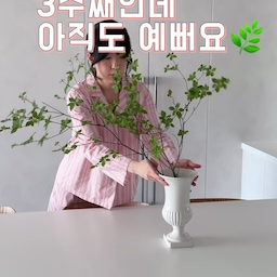 꽃은 예쁘지만💐
금방 시들어서 자주 망설였는데
엔카이셔스 생화는🌿
3주가 지나도 싱싱해서 놀랐어요
거실에도
주방에도
침실에도
생화 하나만으로도
집 분위기가 달라지는 걸
다시 느끼는 요즘이에요
어니스트플라워에서
리퍼브 상품을 5월 말쯤
1만원대로 미리 결재 하고,
6월 18일 배송 받았어요
7월 7일인 지금까지도
싱싱하더라고요
내년에도 구매 하려고요✨
#쏭벤져스 #집꾸미기 #아파트인테리어 #홈스타일링 #엔카이셔스 #거실인테리어 #거실 #거실꾸미기 #거실테리어 #화병 #엔카이셔스생화 #식탁 #주방인테리어 #주방꾸미기 #침실스타일링 #침실꾸미기 #침실인테리어 #조명인테리어 #커튼인테리어 #디아망퓨어화이트 #콘수프기록집 #오늘의우리집 #맞팔해요 #맞팔환영 