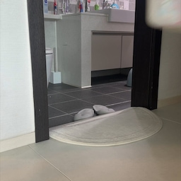 🧽 장마철 오기 전에 화장실 청소 완벽하게 하는 법 바로 소개합니다.
1️⃣ 먼저, 위에 올려져있는 물건을 빼줍니다. 이때 칫솔은 양치컵에 담아 햇빛에 건조하면 좋습니다. 그리고 환풍기 커버를 열고 필터를 꺼내 먼지 제거 후에 함께 말려주세요.
2️⃣ 그리고 뜨거운 물로 화장실 전체를 뿌려주세요. 1-2분씩 지속적으로 뿌리는게 때를 불리기 좋습니다. 단, 거울에 물을 뿌리면 이렇게 됩니다. 거울은 마무리 청소할 때 할께요.
3️⃣ 욕실 세정제로 화장실 전체적으로 뿌려주세요. 이때 곰팡이가 보인다면, 곰팡이 제거제를 뿌려주세요. 그리고 샤워호스에도 곰팡이 제거제를 뿌려두면, 나중에 물만 뿌려도 깔끔히 제거됩니다.
4️⃣ 화장실 바닥은 솔로 청소해주고, 세면대 쪽은 이 은사수세미로 청소하면, 기스없이 물때 묵은 때 제거하기 딱 좋습니다. 
5️⃣ 다쓴 샤워타월 보관해뒀다가 변기청소할 때 사용하면 좋습니다. 변기 뚜껑도 분리해 안쪽도 빠짐없이 청소해 주세요. 변기 안쪽은 락스폼을 뿌려 살균까지 해결해 주세요. 
6️⃣ 이젠 뜨거운물이 아니라 찬물로 물청소 해주세요. 찬물이 화장실 습기도 빼주고, 물방물이 맺히지 않고 깔끔히 흘러내려가 마무리하기 좋습니다.
7️⃣ 거울은 얼룩없이 닦는 유리창티슈로 닦아주면 손쉽게 청소할 수 있습니다.
8️⃣ 스퀴지로 물기 제거 해주고, 환풍기 다시 설치해주세요. 그리고 화장실 용품을 원래자리에 놔주면 화장실청소 끝입니다.
#화장실청소 #살림로그 #욕실청소 #생활꿀팁 #정리노하우 #장마철대비 #곰팡이제거 #물때제거 #환풍기청소 #필터청소 #샤워호스청소 #은사수세미 #세면대청소 #변기청소 #변기뚜껑분리 #락스폼 #살균소독 #습기제거 #유리창티슈 #스퀴지 #화장실냄새제거 #욕실위생 #미니멀라이프 #신박한정리 #자취꿀팁 #신혼살림 #다둥이네살림 #1분살림 #가성비살림 #생활정보 