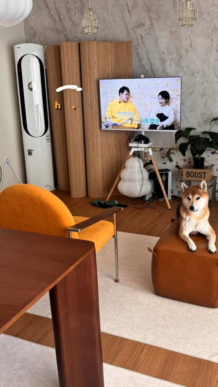 ウッドトーンとブラウンカラーが調和したリビング、オレンジ色のアームチェアとペットの犬が配置された自然で暖かみのある雰囲気のインテリア