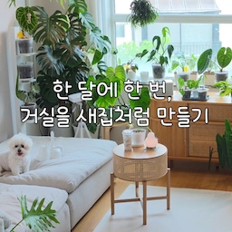 #인테리어노하우 1
.
달에 한 번 하는 거실 리셋 🏡
.
계절이 바뀌면 소파 배치도 바꿔보고, 
바닥도 깨끗하게 청소하고, 
식물도 다시 제자리를 찾아줍니다.🌿
이번 7월은 소파를 답답했던 ㄷ자 배치 대신 
대면형으로 바꾸고 시원하게 시어서커러그도 깔아주었어요.
같은 집인데도 분위기가 새집처럼 달라지는 순간이 너무 좋아요.
슈슈도 넓어진 거실이 좋은가봐요.🐶
여러분은 ㄷ자 배치와 대면형 배치, 
어떤 스타일이 더 취향이신가요?🤍
.
.
.
🏷시어서커러그ㅡ라익디스
🏷플랜트 컨버스 그림ㅡ테무
🏷스틸액자ㅡ다이소.소장엽서모음
🏷달력ㅡ유어투데이
🏷케인원형협탁ㅡ우디크
.
.
.
#거실인테리어 
#집꾸미기 
#소파배치 
#홈브이로그 
#거실리셋
#콘수프기록집
#주택라이프 #타운하우스 #집꾸미기 #인테리어 #화이트우드 #플랜테리어 
#멍집사 #식집사 #새집사 
#맞팔 #맞팔환영 #맞팔좋아요 