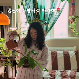 #예쁜템최고야 집순이 취향저격 파자마❣️
집에서도 예쁜 파자마 입는 분 계신가요?
저는 집에 있는 시간이 많다 보니 외출복보다 홈웨어를
더 자주 입는 파워 집순이라 파자마에 완전 진심이거든요~ 
하루 중 가장 오래 있는 방에서는 편한 것도 좋지만
예쁜 것도 포기하고 싶지 않더라고요.
요즘 제가 가장 자주 입는 취향저격 최애 잠옷은 바로,
퍼즈 플리즈 코튼 파자마예요-!
빈티지한 원단이 떠오르는 레이스 짜임에, 레드 플라워
스트라이프 패턴까지-! 디자인만 예쁜 게 아니라
순면 소재라 통기성이 좋아 여름에도 답답하지 않고,
하루 종일 입고 있어도 편안해서 자연스럽게 손이 가요✨️
집에서 보내는 시간이 더 기분 좋아지는 작은 변화,
저는 이런 게 참 좋더라고요.
#퍼즈플리즈 #코튼파자마 #여름파자마 #홈웨어 #잠옷추천 #잠옷 #여름잠옷 #빈티지잠옷 #파자마 #집순이일상 #침실인테리어 #지브리인테리어 #빈티지인테리어 #방꾸미기 #홈스타일링팁 #콘수프기록집 #스페셜크리에이터 #오늘의집크리에이터 #오늘의집