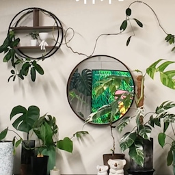 키우기 쉽고 감성까지 더하는 플랜테리어 식물을 소개합니다🌿 
특히 우드화병은 어느 식물을 꽂아도 참 예뻐요
#수경식물
#플랜테리어소품
첫째, 화장실에 두면 암모니아를 가볍게 제거해 주는 #형광스킨답서스
​둘째, 찢어진 잎이 매력적인 거실 인테리어 끝판왕 #몬스테라
셋째, 덩굴처럼 예쁘게 늘어지며 공기를 정화하는 #아이비
​넷째, 음지에도 강하고 싱그러움을 유지하는  #산호수
​다섯째, 물만 주면 대나무처럼 쭉쭉 자라는 #개운죽
#ftc26기 #인테리어소품 #주간미션 #콘수프기록집 #집꾸미기 