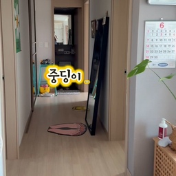 #인테리어노하우 #콘수프기록집 
오늘 인스타에 딸방 릴스 하나 올렸는데...
아주 그냥 떡상을....ㅎㅎㅎㅎㅎ
팔로워가 700명 넘게.....ㅋㅋㅋㅋㅋ
딸방은 여름이라 창가쪽에 있던 침대를 입고 벽쪽으로 붙여서
덜 덥게 구조를 바꿔줬던 상황이구요!!!
책상이랑 책장은 공간분리되게 해두고...
침대랑 화장대.전신거울은 또 같이 두어서 
공부 공간이랑 뷰티 공간을 분리해주니 산만함이 덜하구요!!
옷장은 상의는 대부분 행거에 걸어두고
하의도 대부분 걸어두고 자주 입지 않은건 서랍에 두었네요!!!
이렇게만 두어도 깨끗해지는 아이방이구요!!ㅋㅋ
#맞팔 #맞팔환영 #맞팔선팔 #맞팔해요 #맞팔소통 #맞팔환영해요 
#아이방 #아이방꾸미기 #아이방자랑어워드 #여자아이방 #여자아이방꾸미기 
#숲뷰아파트 #살림살이 #현실인테리어 #현실적인인테리어 #오늘의가든