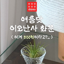 단돈 500원으로 여름분위기 + 존재감 뿜뿜하는 인테리어 소품 만들기 🎐
이오난사 키우시는 분들 ! 여름맞이 새 집 장만해주시는 거 어떠세요 ? ❤︎
다이소 술잔에 자갈 쪼르르 + 이오난사 툭 꽂아주기만 하면, 너무 귀여운 이오난사 화분 완성 ... ⋆｡˚ 🧊
어디에 둬도 확실하게 포인트 되고 귀여워서 요즘 저희집 최애 소품이랍니다 🌿
다이소 가셔서 보이시면 꼬옥 품어오기 .ᐟ
🏷️ 품번 : 1055826
🏷️ 햄머링 패턴 유리 술잔 50 ml 2개입
#FTC26기 #소품 #소품인테리어  #인테리어소품 
#다이소추천템 #다이소추천 #다이소꿀템