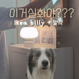 #인테리어노하우 수납장없는 욕실 + 좁은 복도 = 빈틈사수 빌리와 아이들을 소개합니다 !
🦖화장품수납, 자석, 오브제까지 섭렵 멀티탭커버
🦭내추럴무드 욕실 앞 필수아이템 거울
🎶우드선반하나로 향테리어
🤠무선조명들의 무대
#콘수프기록집 #욕실 #욕실수납 #욕실앞 #복도 #수납장없는욕실 #빨래바구니 #리퍼 #이케아 #빌리 #멀티탭커버 #화장품수납 #좁은공간활용 #조명 #무선조명 #베르판 #렉슨미나 #일광전구 #비믹스 #거울 
#이케아빌리 #이케아추천템 #작은집꾸미기 #자취방필수템 #자석선반 #바이너리샵 #오늘의가든 #화병 #에포크
