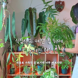 #광고 식집사의 예쁜 집 뒤에 숨겨진 현실🌿
사진 속에는 늘 예쁜 공간만 담기지만, 현실은 흙이 떨어지고 강아지 털이 날려 하루에도 몇 번씩 청소기를 돌리는 집이에요.
특히 분갈이하는 날이면 바닥이 흙투성이가 되는 건 일상이죠.
아기도 있고 반려견도 함께 생활하다 보니 청소는 미루기보다 바로바로 하는 게 가장 편하더라고요!
요즘은 클래파 자동먼지비움 청소기를 사용하고 있는데, 청소가 끝나면 먼지통까지 자동으로 비워줘 손에 먼지가 묻을 일이 거의 없어 정말 편리했어요.
거기에 손가락으로도 컨트롤할 수 있을 만큼 가벼워 자주 사용해도 손목 부담이 적었고, 흡입력도 좋아 분갈이 후 흩어진 흙까지 깔끔하게 청소할 수 있어요.
이런 기능을 갖춘 청소기가 10만 원 중반대라면 믿으시겠어요?
예쁜 집을 유지하는 건 예쁜 식물만큼이나 꾸준한 청소가 중요한 것 같아요.🌱
최저가 구매 링크는 프로필에서 확인해 보세요!
#클래파 #청소기 #자동먼지비움청소기 #무선청소기 #청소루틴 