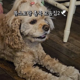 #쮸스토랑
홈쿡 2탄으로 돌아온 콘수프필름!
2탄으로 끝낼 수 없을 것 같아서
나중에 3탄을 제작해올 것 같슴다...!
이렇게 모아보니 예쁜 접시가 넘 많아~
#콘수프기록집 #홈쿡 
#홈쿡 #홈스토랑 #온더테이블 #테이블세팅 #플레이팅 #플레이팅필살템 #플레이팅꿀팁 #햇살존 #접시 #접시추천 #홈메이드 #집밥 #자취요리 #자취생밥상 #먹스타그램 #오브제 #소품 #소품추천 #오브제추천 #맞팔 #스타우브 #카네수즈 #카네수즈접시 #스타우브접시 #시라쿠스 #소일베이커 #투명플레이트